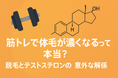 筋トレで体毛が濃くなるって本当？｜脱毛とテストステロンの意外な関係