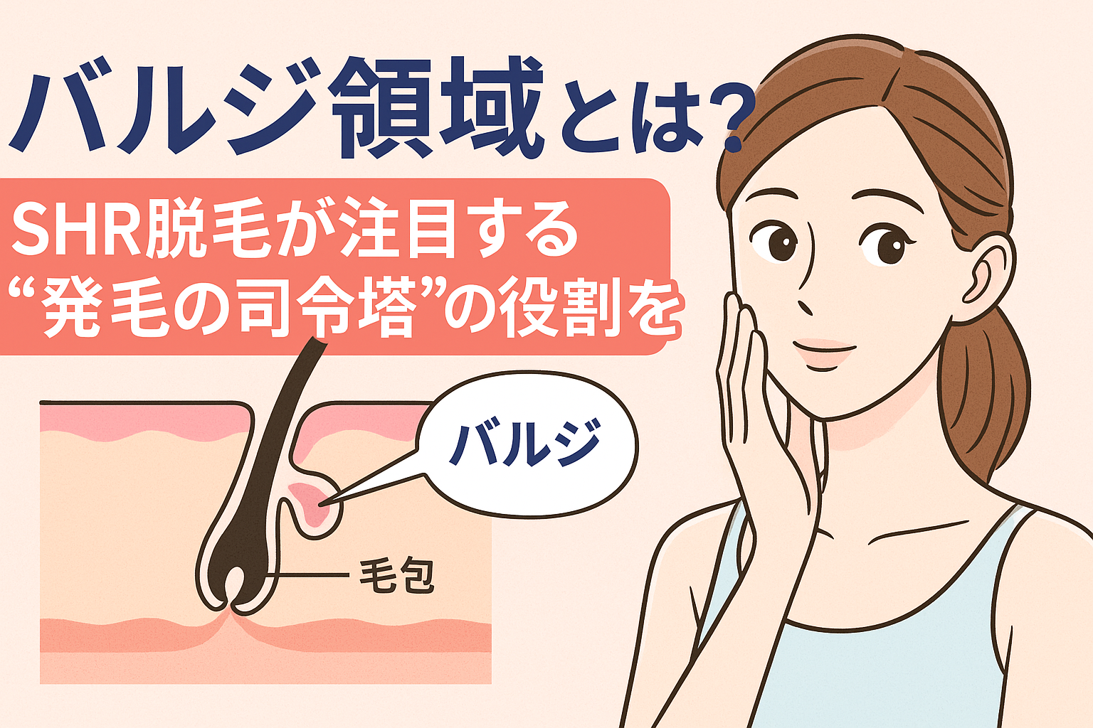 バルジ領域とは？SHR脱毛が注目する“発毛の司令塔”の役割を解説