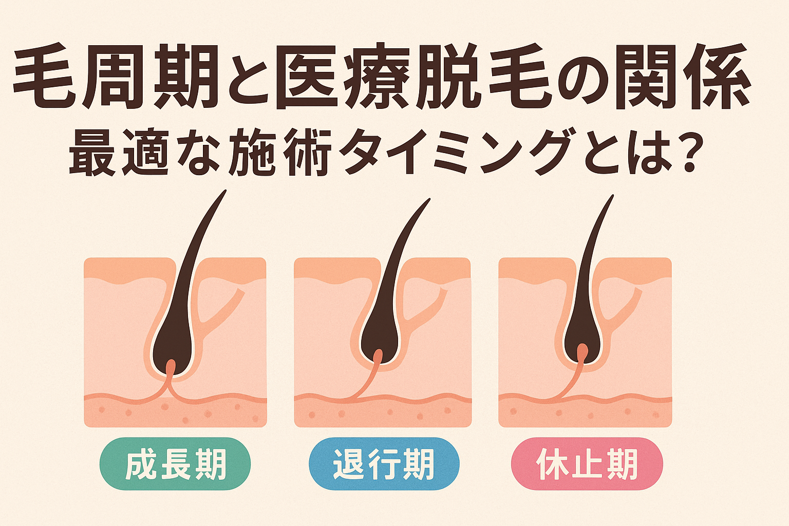毛周期と医療脱毛の関係｜最適な施術タイミングとは？