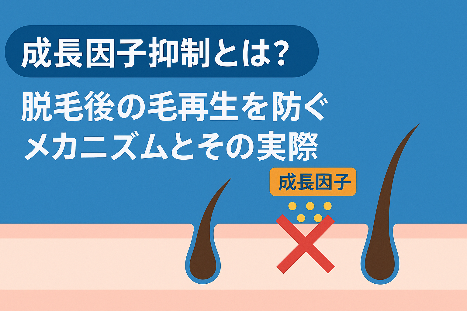成長因子抑制とは？脱毛後の毛再生を防ぐメカニズムとその実際
