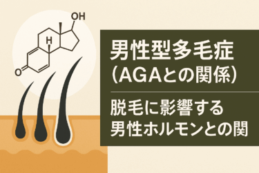 男性型多毛症（AGAとの関係）｜脱毛に影響する男性ホルモンとの関係